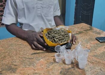 "Jigawa Police Arrest 7 Suspected Drug Barons"