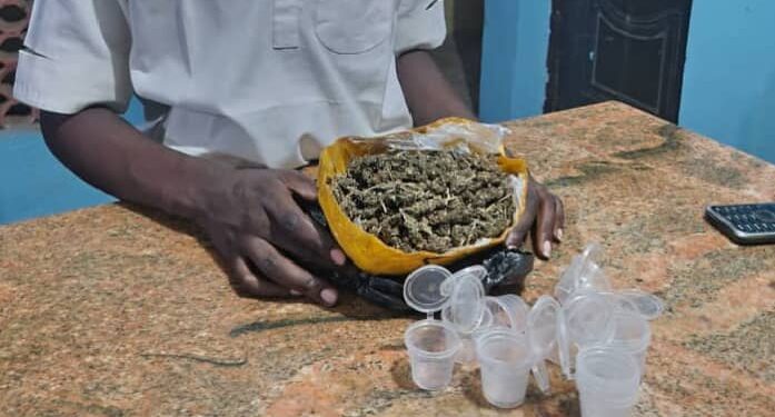 "Jigawa Police Arrest 7 Suspected Drug Barons"