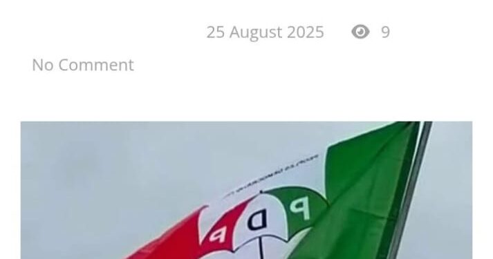 PDP ZONES 2027 PRESIDENTIAL TICKET TO SOUTH, RETAINS CHAIRMANSHIP IN NORTH