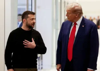 Zelenskyy Renews Call for Talks with Putin Amid Stalled Peace Efforts