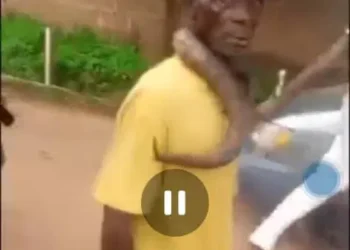 Man Beaten for Allegedly Killing Snake in Anambra