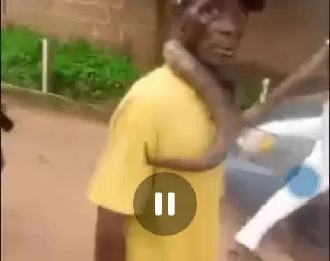 Man Beaten for Allegedly Killing Snake in Anambra