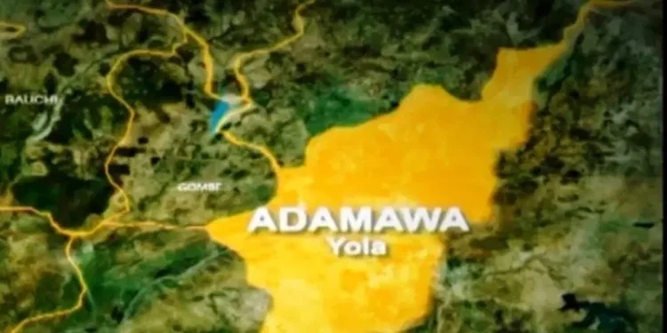 Strange Flesh-Eating Disease Claims Lives in Adamawa