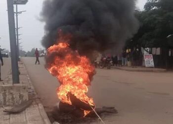 Mob Burns Suspected Motorcycle Snatcher Alive in Makurdi