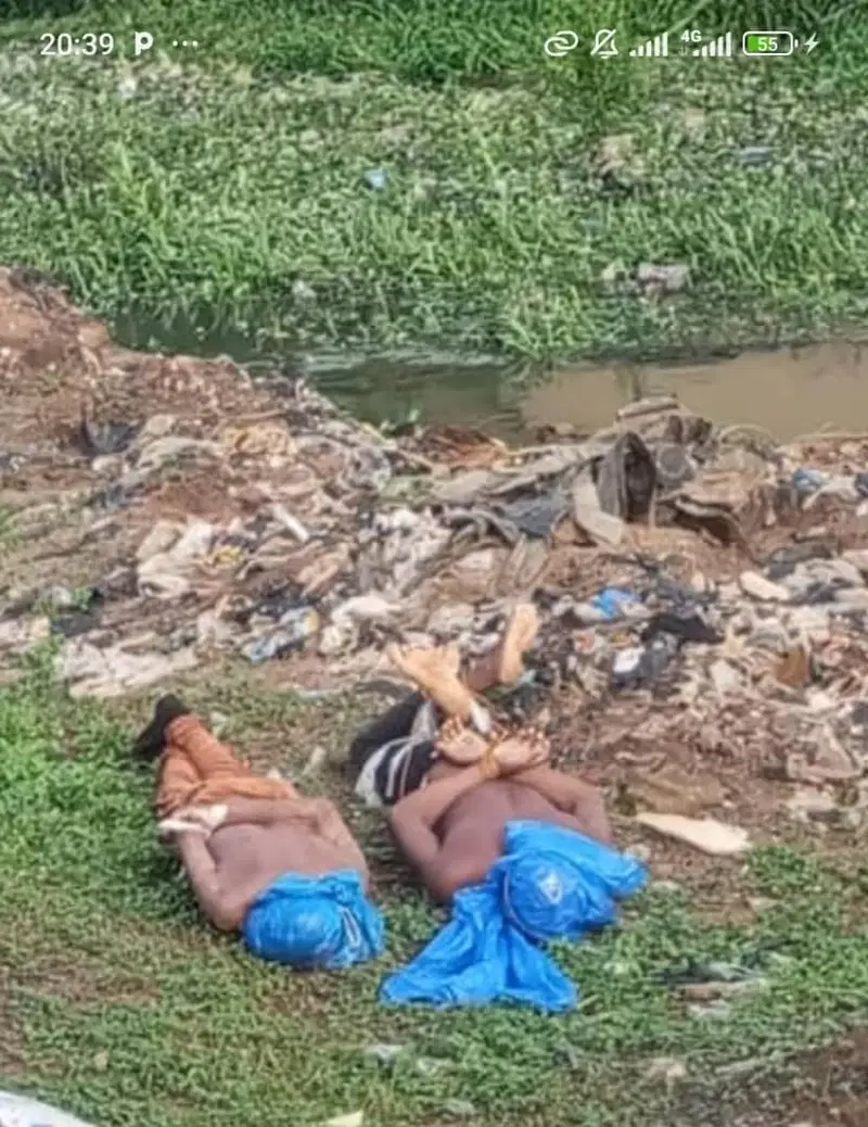 investigation into the gruesome killing of two young men whose bodies were found dumped