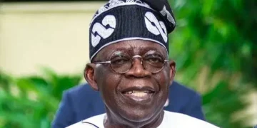 Tinubu Suspends Raw Shea Exports to Boost Local Processing