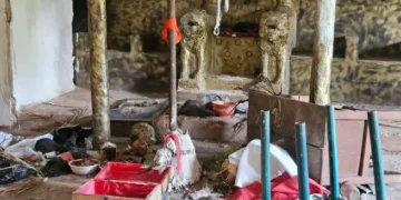 Delta Herbalist and Stepbrother Arrested for Killing Client and Okada Rider