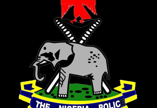 EDO POLICE COMMISSIONER ORDERS INVESTIGATION INTO VIRAL VIDEOS OF ALLEGED BRUTALIZATION