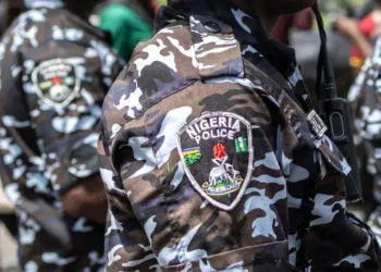 Police Bomb Disposal Team Neutralizes IEDs in Borno, Averting Catastrophe