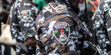 Police Bomb Disposal Team Neutralizes IEDs in Borno, Averting Catastrophe