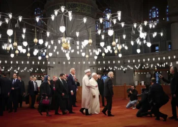 Pope Leo XIV makes historic visit to Istanbul’s Blue Mosque