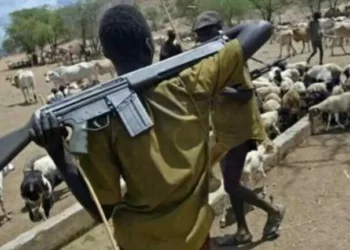 Residents Flee as Armed Herdsmen Kill Benue Community Leader in Ambush