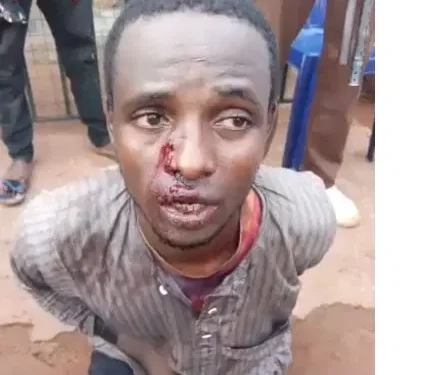 Terror in Edo: Kidnappers Turn Forests into Fear Fields, Seminarians’ 115th Day in Captivity