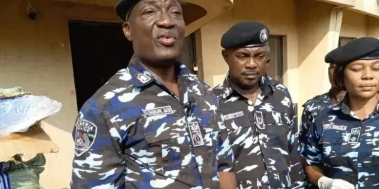 Police raid fake drug factory in Lagos, hunt for mastermind