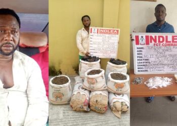 The National Drug Law Enforcement Agency (NDLEA) has arrested Lekan Jimoh,