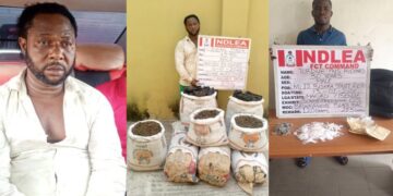 The National Drug Law Enforcement Agency (NDLEA) has arrested Lekan Jimoh,