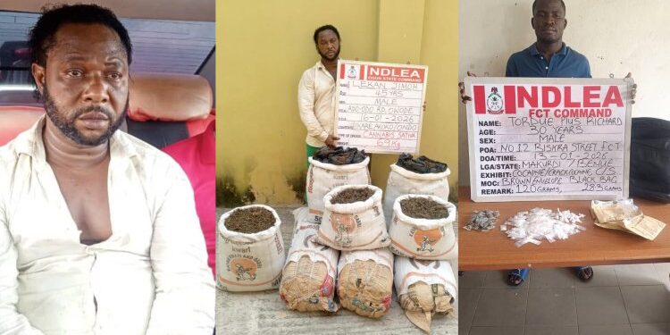 The National Drug Law Enforcement Agency (NDLEA) has arrested Lekan Jimoh,