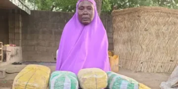 Military Arrests 65-Year-Old Woman Supplying Drugs to Boko Haram