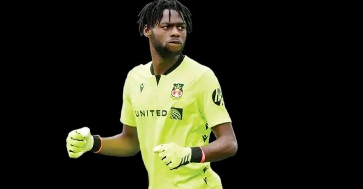 “Media Literacy Drive in Northern Nigeria: 74 Community Journalists Trained to Combat Misinformation and Hate Speech”