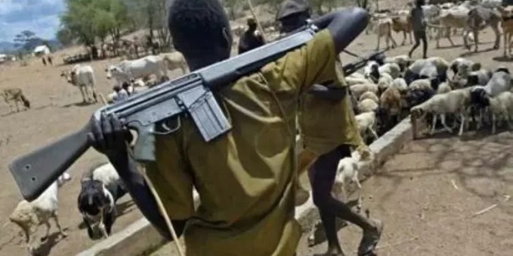 Pastor, Another Killed in Suspected Herdsmen Attack on Benue Communities