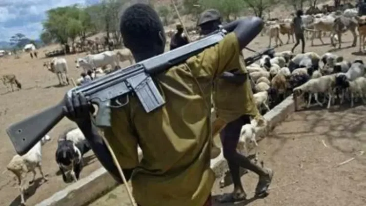 Pastor, Another Killed in Suspected Herdsmen Attack on Benue Communities