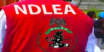 NDLEA Busts International Cocaine Ring: China‑Based Businessman and Two Angolans Arrested with 236 Cocaine Wraps