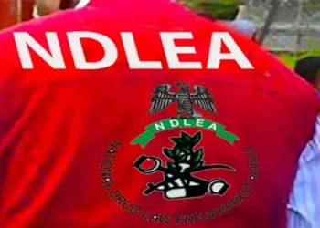 NDLEA Intercepts Brazil Returnee with Cocaine Hidden in Private Parts and Footwear