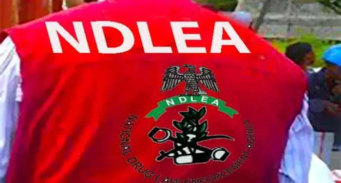 NDLEA Intercepts Brazil Returnee with Cocaine Hidden in Private Parts and Footwear