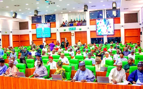 Tumultuous Day at National Assembly as Reps Pass Electoral Act Amendment Bill Amidst Protests