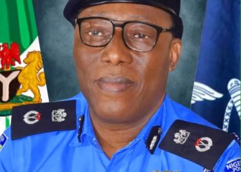 “Delta Police Crack Down on Cult and Armed Robbery Networks, Recover Firearms in Coordinated Security Raids”