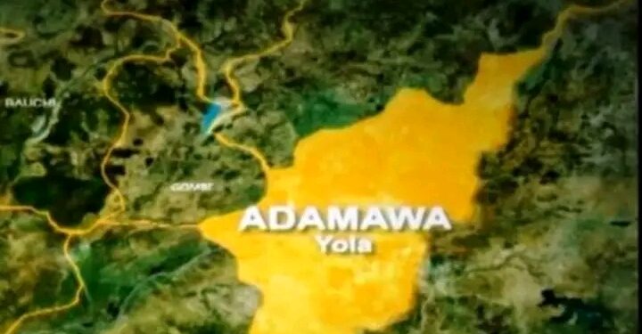 “Adamawa Police Rescue Kidnapped Four Year Old, Arrest Two Suspects After ₦800,000 Ransom Demand”