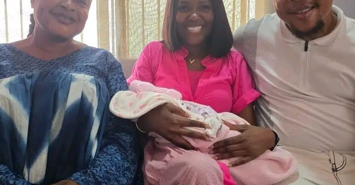 “2027 Elections: Former Lawmaker Dada Awoleye Enters Oyo South Senatorial Race, Reshaping Early Political Landscape”