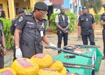 Delta Police Crack Down on Crime: 270+ Suspects Arrested, Drugs Seized
