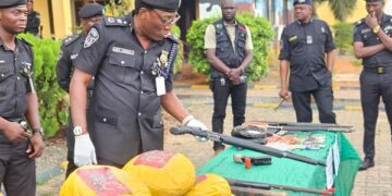 Delta Police Crack Down on Crime: 270+ Suspects Arrested, Drugs Seized