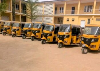 “Kano Police Dismantle Tricycle Theft Syndicate, Recover Eight Stolen Vehicles in Major Anti-Crime Operation”