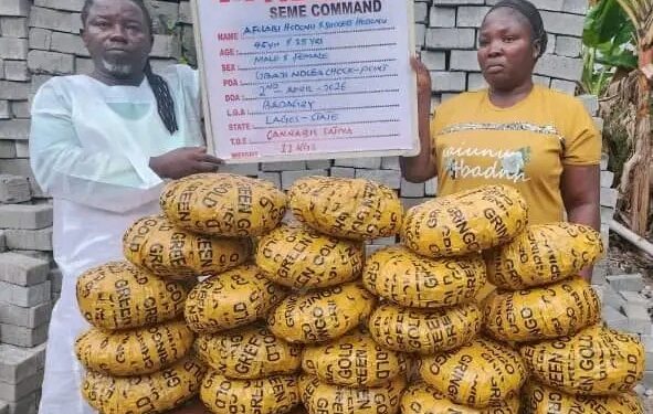 “NDLEA Busts Pastor, Wife in Lagos Drug Crackdown, Seizes 11kg of Cannabis Concealed in Vehicle”