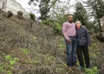 “US Based Nigerian Doctor Faces Potential $1 Million Fine Over Illegal Tree Felling in Oakland”