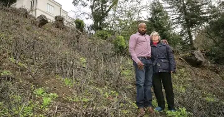 “US Based Nigerian Doctor Faces Potential $1 Million Fine Over Illegal Tree Felling in Oakland”