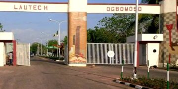 “US Based Nigerian Doctor Faces Potential $1 Million Fine Over Illegal Tree Felling in Oakland”