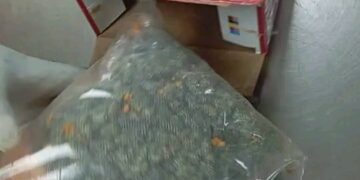 “NDLEA Uncovers Illicit Drugs Concealed in Snack Packages, Issues Nationwide Alert on Proxy Parcel Collection”