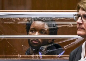 “Thai Airport Crackdown: Teen Arrested with 30 Endangered Tortoises in Wildlife Smuggling Bust”