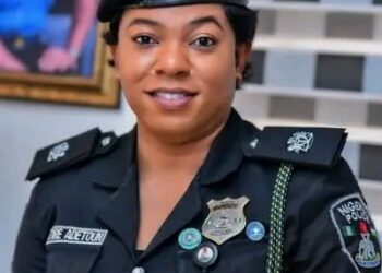 “Thai Airport Crackdown: Teen Arrested with 30 Endangered Tortoises in Wildlife Smuggling Bust”