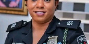 “Thai Airport Crackdown: Teen Arrested with 30 Endangered Tortoises in Wildlife Smuggling Bust”