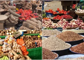 Fuel Costs Drive Food Inflation as Lagos Traders, Shoppers Struggle