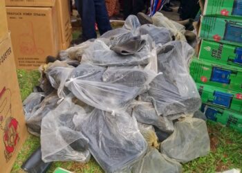 Gov. Okpebholo Flags Off 2026 Farming Season, Distributes Inputs to Farmers Across 18 LGAs