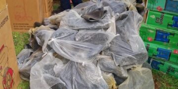 Gov. Okpebholo Flags Off 2026 Farming Season, Distributes Inputs to Farmers Across 18 LGAs