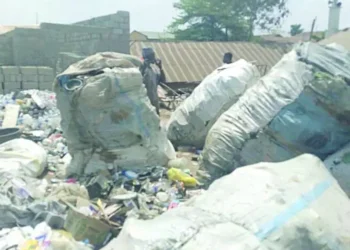 Abuja Satellite Town Dumpsite Residents Lament Hellish Stench