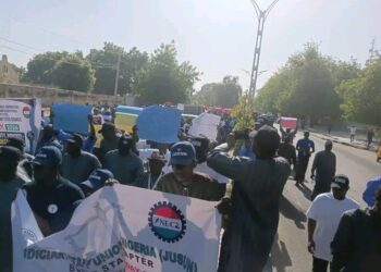“Borno Workers Protest Unpaid N70,000 Minimum Wage as Cost of Living Bites Harder in Northeast Nigeria”