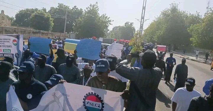 “Borno Workers Protest Unpaid N70,000 Minimum Wage as Cost of Living Bites Harder in Northeast Nigeria”