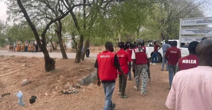 “NEMA Issues Fresh Flood Alert for Kebbi Communities Ahead of 2026 Rainy Season”